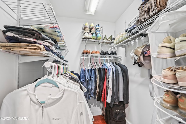 view of walk in closet