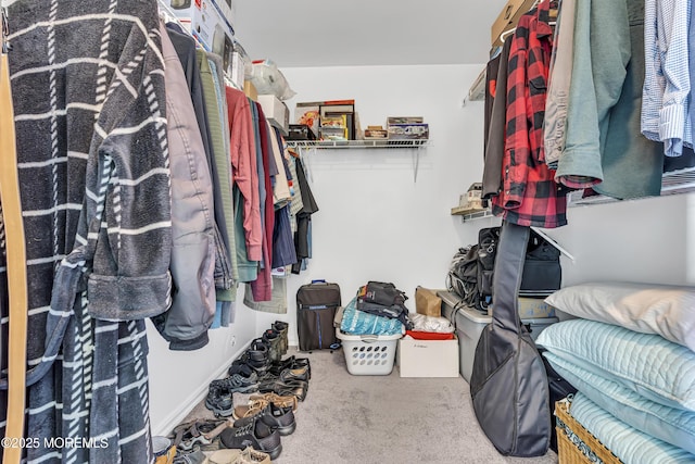 walk in closet with carpet