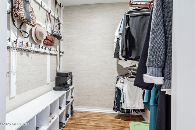 spacious closet with hardwood / wood-style floors