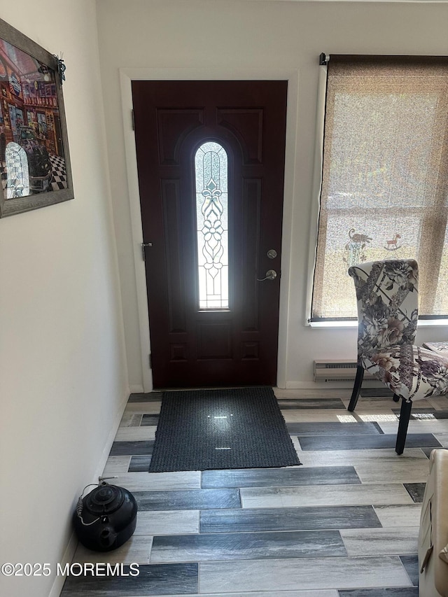 foyer entrance with a healthy amount of sunlight