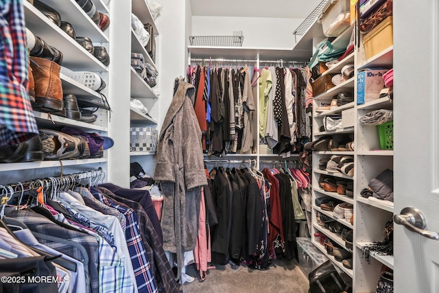 spacious closet with carpet flooring