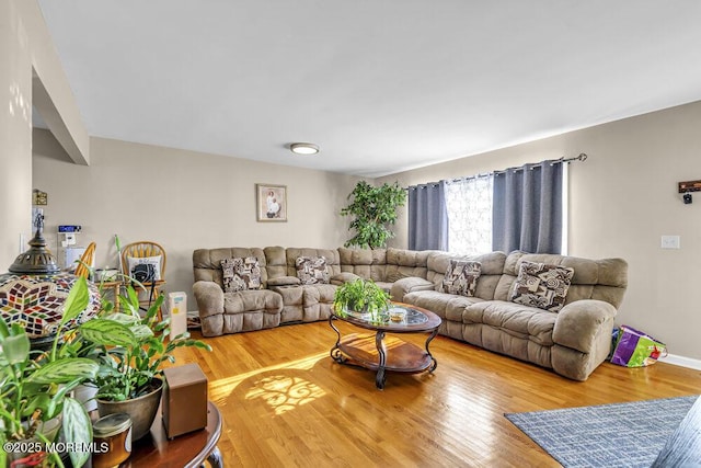 living room featuring hardwood / wood-style flooring