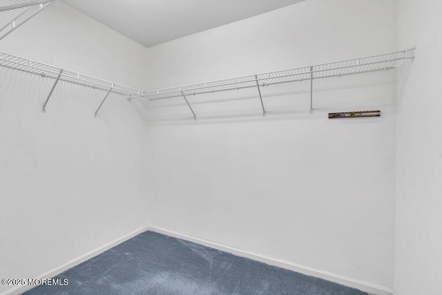 spacious closet with carpet floors