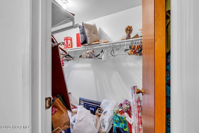 view of closet