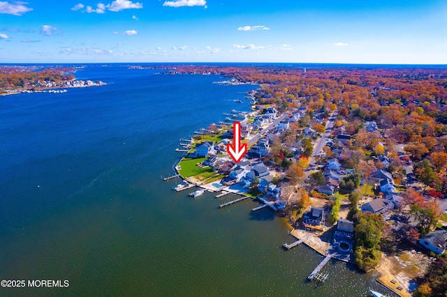 bird's eye view with a water view