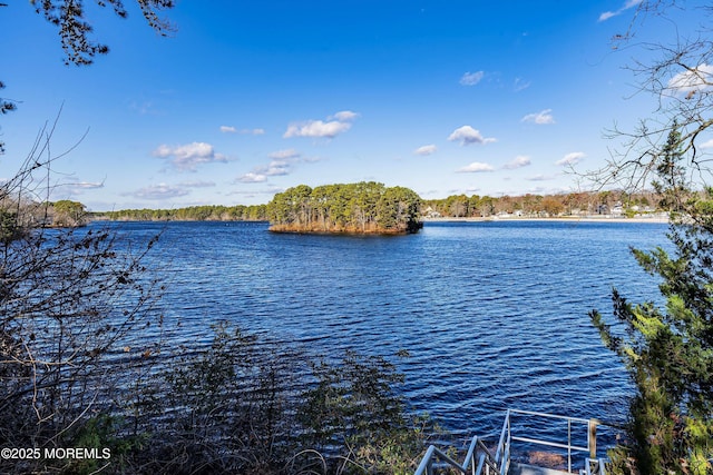 property view of water