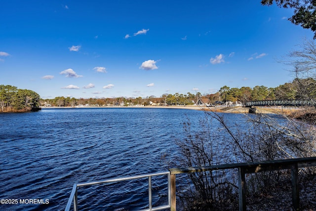 property view of water