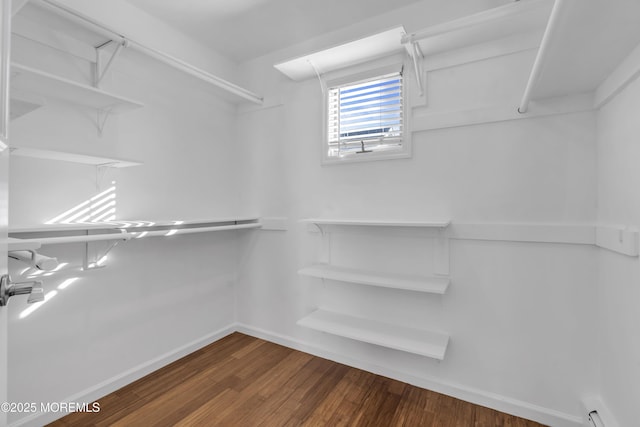 spacious closet with dark hardwood / wood-style floors