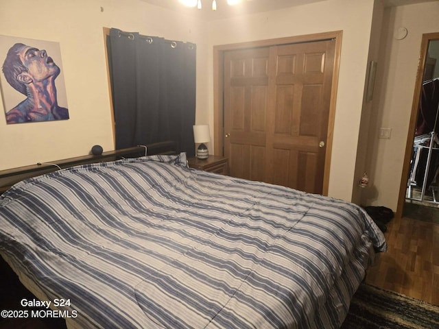 bedroom featuring wood-type flooring