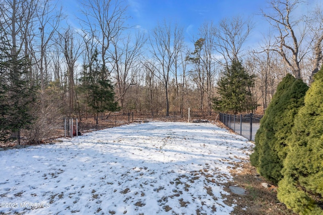 view of yard covered in snow