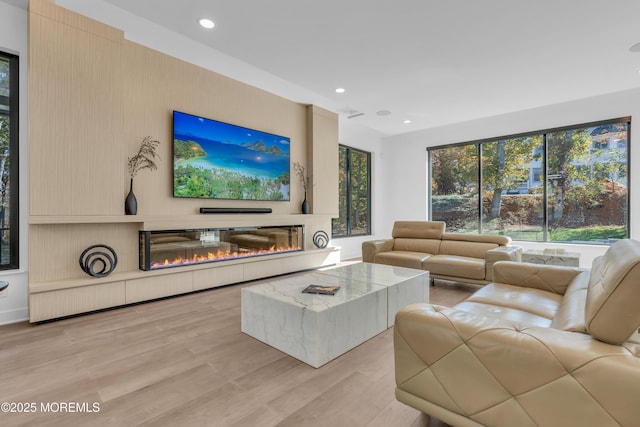 living room featuring light hardwood / wood-style floors