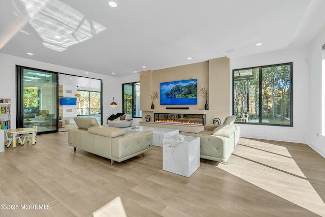 living room featuring light hardwood / wood-style floors and a healthy amount of sunlight