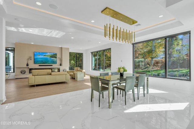 dining room with a tray ceiling and a healthy amount of sunlight