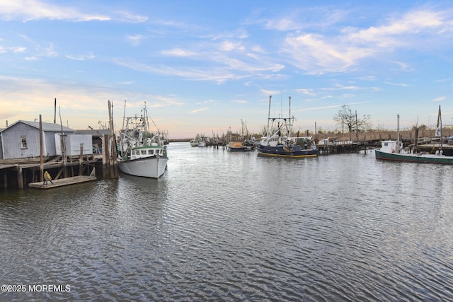 dock area with a water view