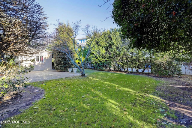 view of yard with a patio