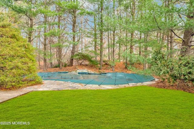 view of swimming pool with a lawn