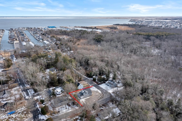 drone / aerial view with a water view