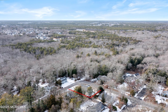 bird's eye view