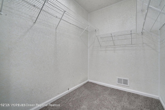 walk in closet featuring carpet floors