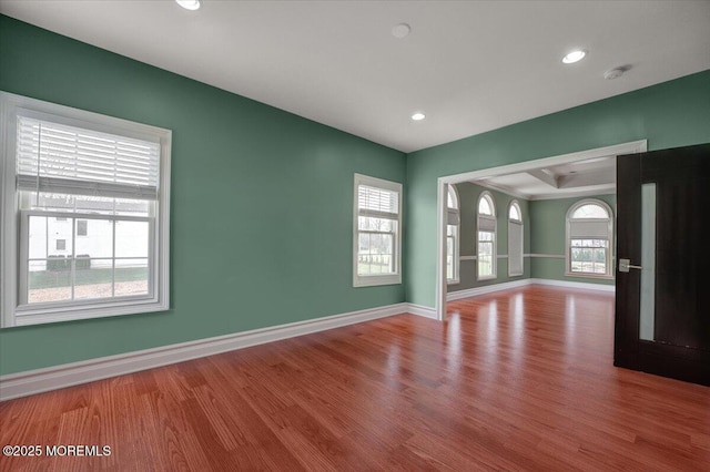 unfurnished room featuring a raised ceiling, a healthy amount of sunlight, and light wood-type flooring