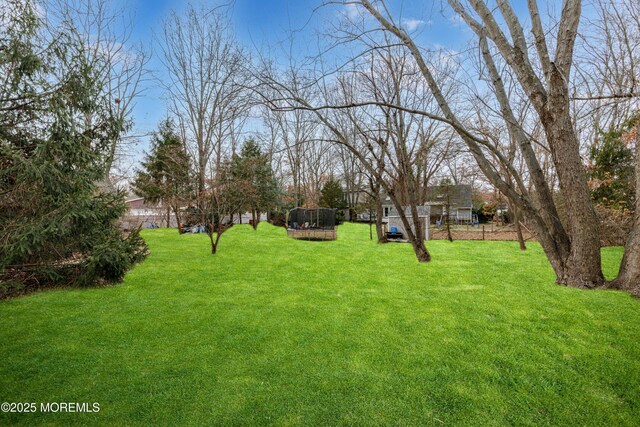 view of yard with a trampoline