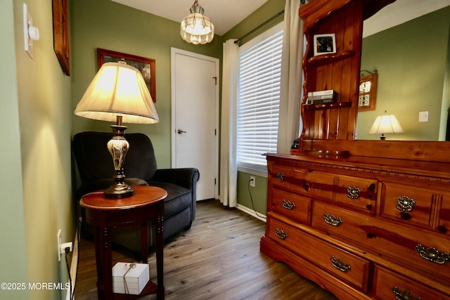 sitting room featuring wood-type flooring