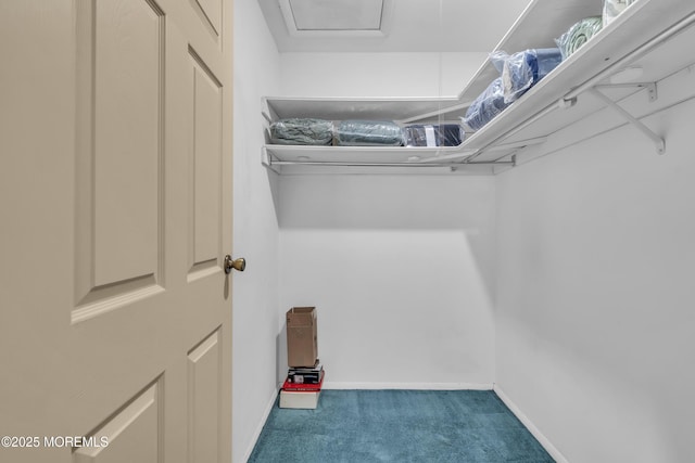 walk in closet with carpet