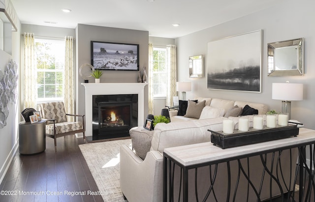 living room featuring dark wood-type flooring