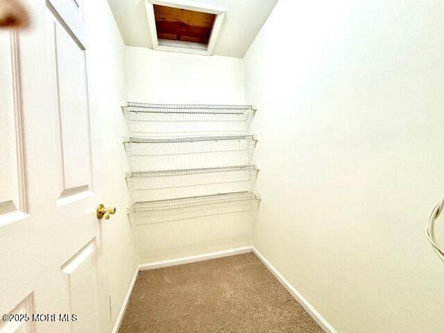 spacious closet featuring carpet