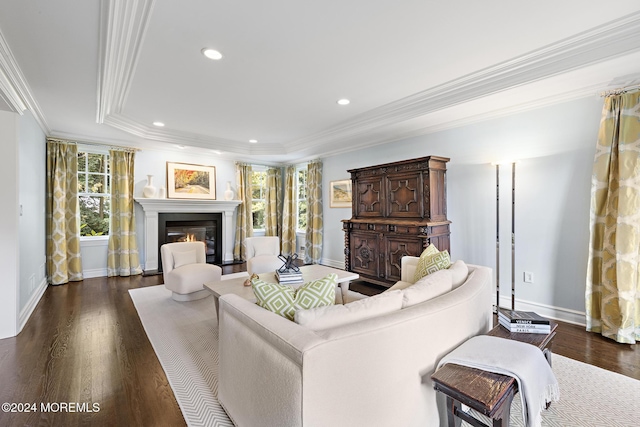 living room with a tray ceiling, crown molding, and dark hardwood / wood-style floors