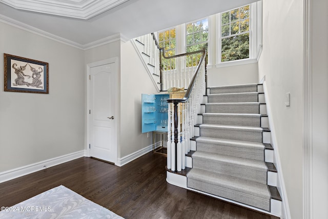 staircase featuring hardwood / wood-style flooring and crown molding