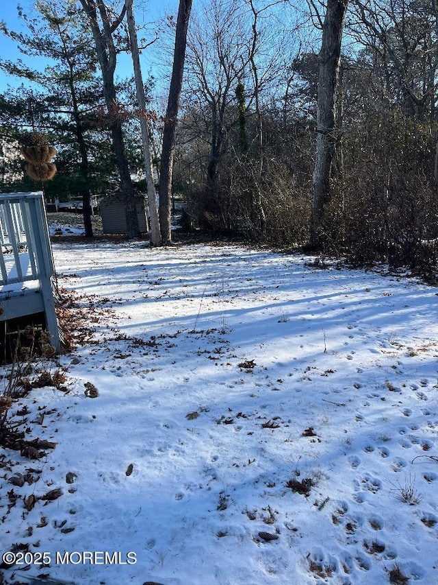 view of yard layered in snow