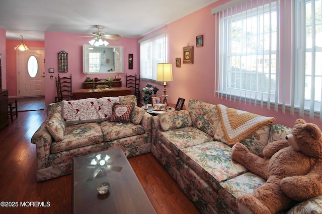 living room with ceiling fan and dark hardwood / wood-style floors