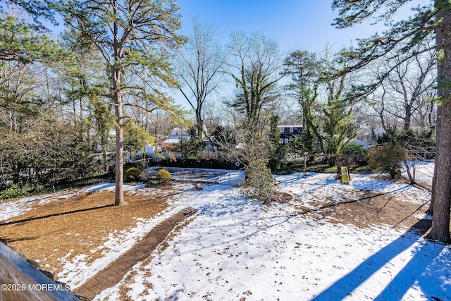 view of yard covered in snow