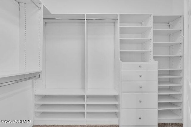 view of spacious closet