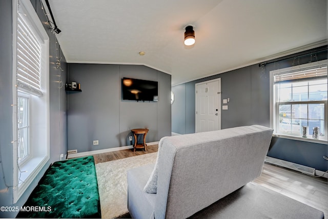 living room featuring wood-type flooring and vaulted ceiling