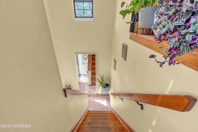 stairs with hardwood / wood-style flooring