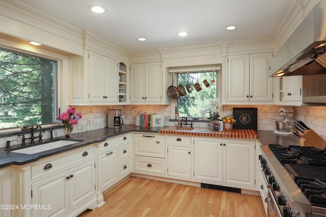 kitchen with sink, range hood, light hardwood / wood-style floors, decorative backsplash, and white cabinets