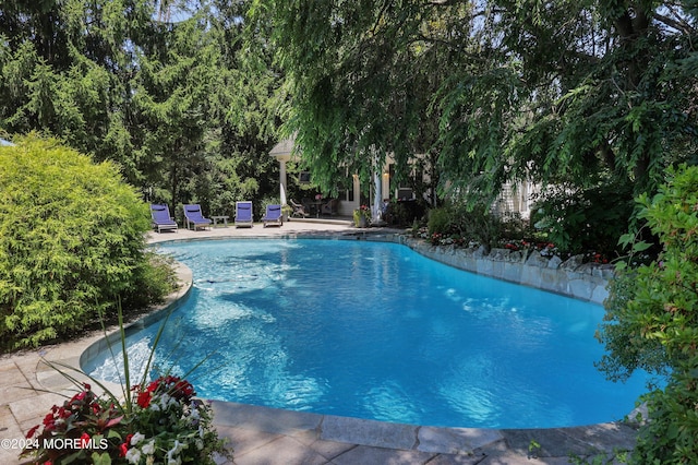 view of pool featuring a patio area