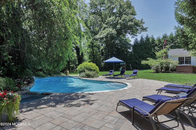 view of swimming pool with a lawn and a patio