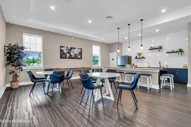 dining area with sink, dark wood-type flooring, and a tray ceiling