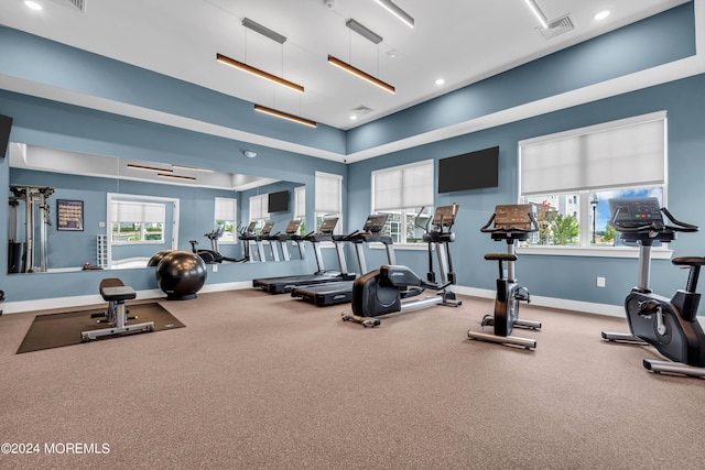 workout area with a towering ceiling and a wealth of natural light