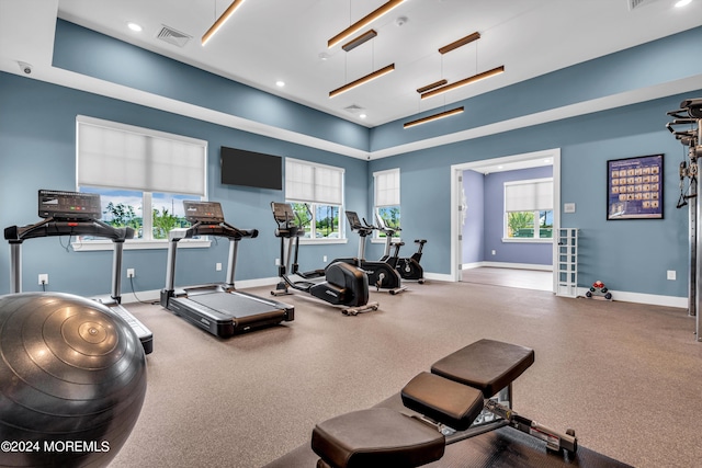 workout area with a towering ceiling and a wealth of natural light