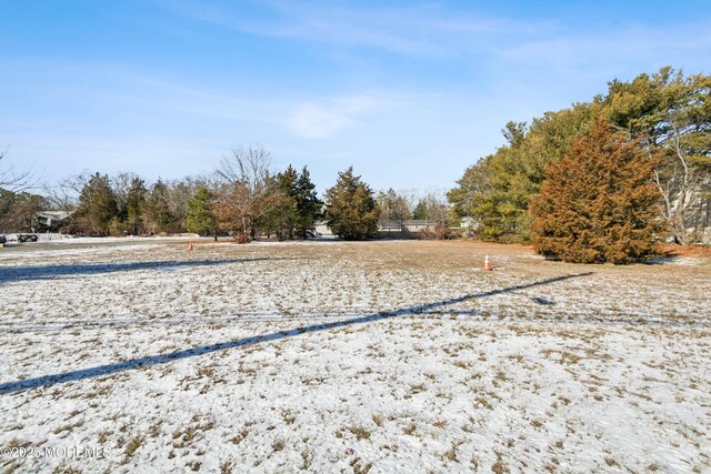 645 Rte 9 N, Little Egg Harbor, NJ 08087 - photo 12