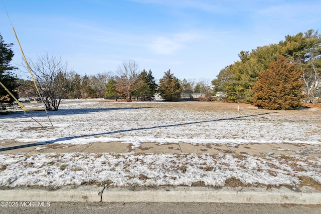 645 Rte 9 N, Little Egg Harbor, NJ 08087 - photo 13