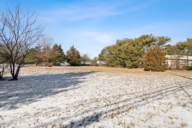 645 Rte 9 N, Little Egg Harbor, NJ 08087 - photo 14