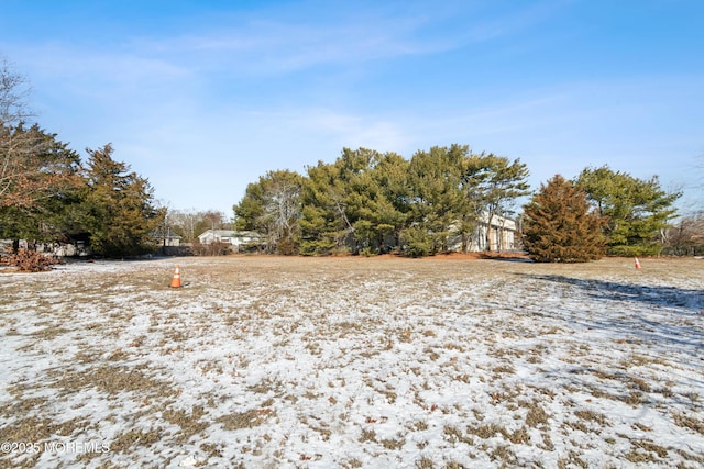 645 Rte 9 N, Little Egg Harbor, NJ 08087 - photo 15
