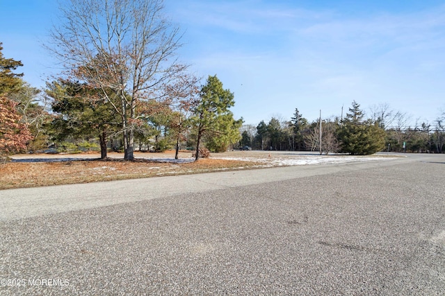 645 Rte 9 N, Little Egg Harbor, NJ 08087 - photo 16