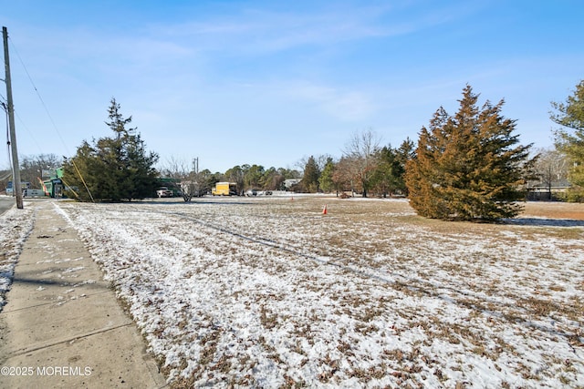 645 Rte 9 N, Little Egg Harbor, NJ 08087 - photo 19