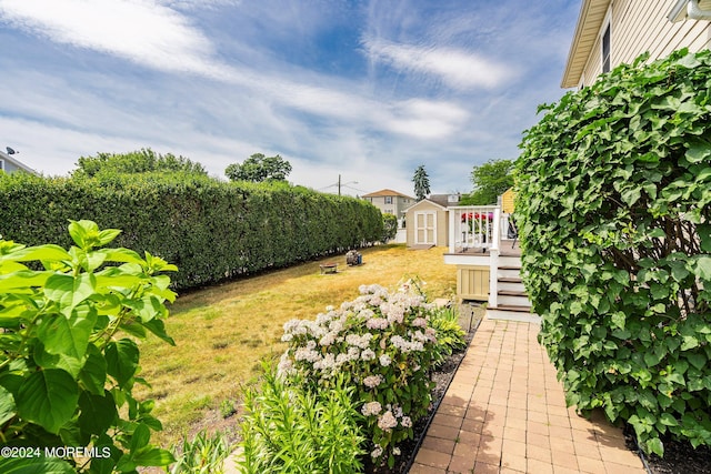 view of yard featuring a storage unit